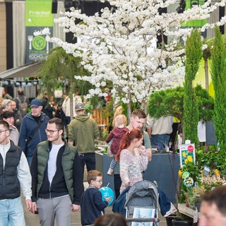 Bunte Blüten im Gartenbereich der Messe "IBO": Rund 56.400 Menschen zog die "IBO" dieses Jahr an.