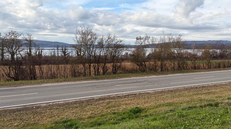 Blick von einer Lagerfläche für Bauabfälle bei Allensbach in Richtung Bodensee. 