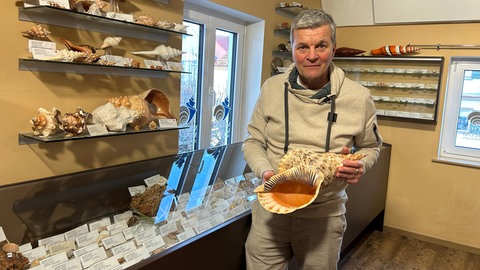 Bernd Kapitza mit einer großen Muschel im Muschelmuseum Ochsenhausen.