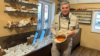 Bernd Kapitza mit einer großen Muschel im Muschelmuseum Ochsenhausen.