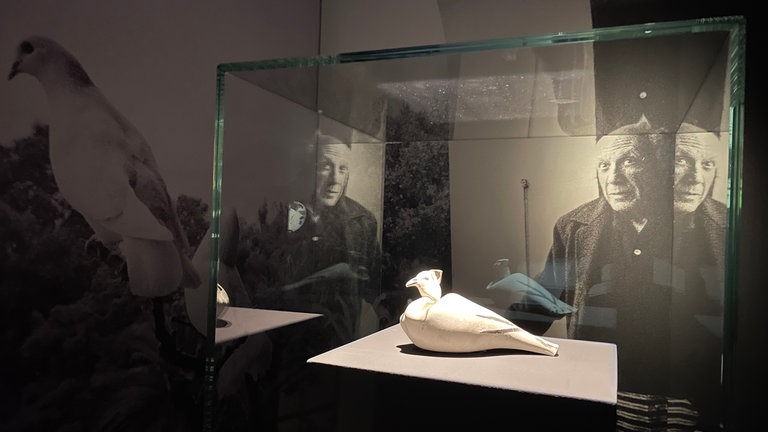 Zeichnungen und Keramik von Pablo Picasso sind in einer Ausstellung im Stadtmuseum "Cavazzen" in Lindau zu sehen.