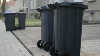 Mülltonnen stehen vor den Häusern für die Müllabfuhr bereit.