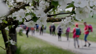 So pilgern jedes Jahr Menschen auf dem Ulrikaweg durch Oberschwaben.