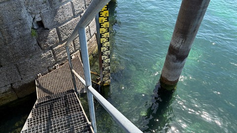 Die Messlatte für den Bodenseepegel im Konstanzer Hafen. Derzeit ist der Wasserstand niedrig.