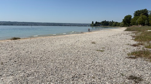 Das Strandbad Hörnle in Konstanz. Der niedrige Wasserstand sorgt für ein breites Ufer und flaches Wasser.