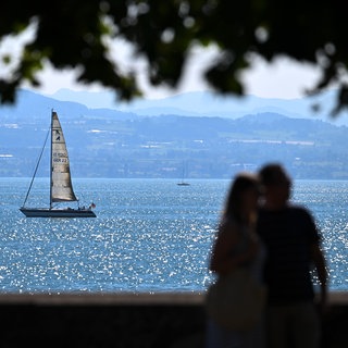 Nicht genügend Geld für Urlaub? So spart man bei der Übernachtung, der Fahrt mit dem Schiff und Tickets am Bodensee. Boote fahren und segeln auf dem Bodensee, während im Vordergrund ein Paar für ein Foto posiert (Symbolbild).