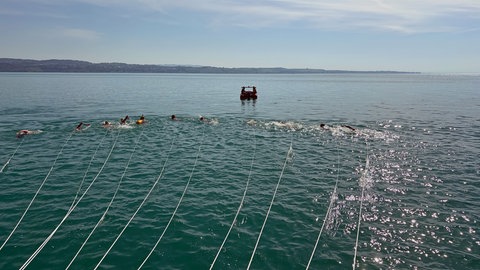 Schwimmer ziehen Fähre mit Seilen im Bodensee