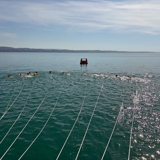 Schwimmer ziehen Fähre mit Seilen im Bodensee