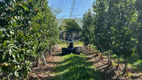 Ein Roboter fährt durch die Apfelplantagen in Kressbronn am Bodensee. Er ist mit Sensoren, Lasern und GPS ausgestattet und soll lernen Äpfel zu ernten.