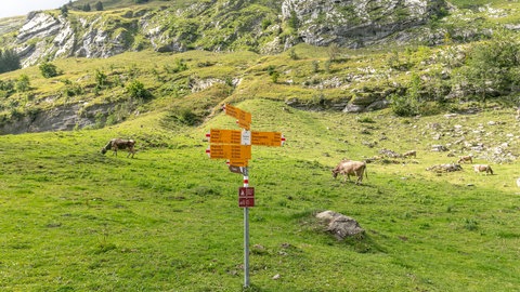 Der Alpstein ist ein beliebtes Ziel für Wanderer.
