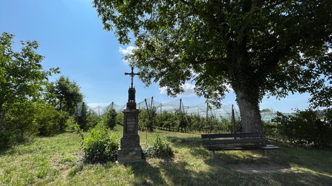 Auf dem Obstanbaubetrieb "Fuchshof" bauen Studierende der HTWG eine Kapelle aus Holz