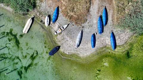 Der Bodensee hat Niedrigwasser. Auf der Insel Reichenau im Bodensee liegen die Boote der Berufsfischer an Land. Das seichte Wasser zeigt den niedrigen Wasserstand des Bodensees an.