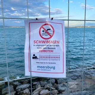 Ein Schild hängt an einem Bauzaun in Meersburg am ufer. Darauf ist zu lesen: Schwimmen verboten.