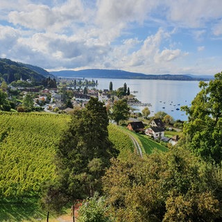 Der Blick auf den Untersee von Schloss Arenenberg in Salenstein im Kanton Thurgau.