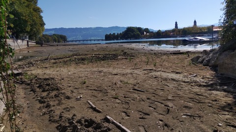 Der niedrige Bodenseepegel ist am kleinen See Lindau sichtbar. Der trockene Sommer ist auch den Seglerinnen und Seglern am Bodensee nicht spurlos vorbeigegangen.