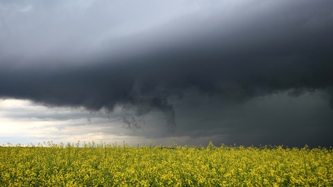 Erneut sind für den Main-Tauber-Kreis Unwetter vorhergesagt. Die Stadt Wertheim blickt dem Ganzen gelassen entgegen. (Symbolbild)