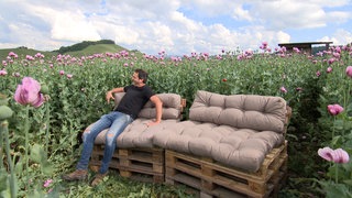 Fotospot Mohnfeld in Erlenbach, Landkreis Heilbronn. Stefan Kerner, Landwirt.