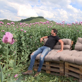 Fotospot Mohnfeld in Erlenbach, Landkreis Heilbronn. Stefan Kerner, Landwirt.