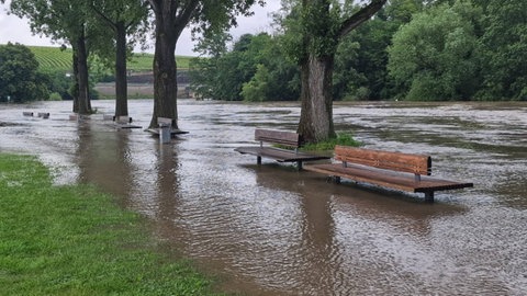 Der Dauerregen lässt den Neckar in Lauffen über die Ufer treten