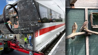 Fotocollage Wochenrückblick SWR Studio Heilbronn. U-Boot. ICE. Falken.