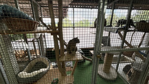 Tierheim Bad Mergentheim