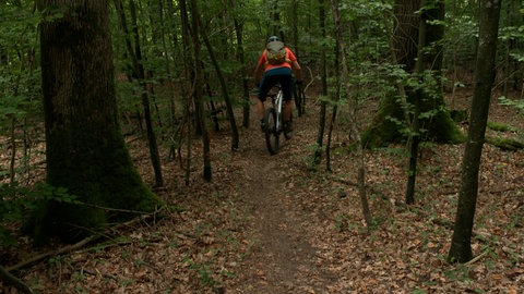 Mountainbiker auf Trail bei Eberstadt