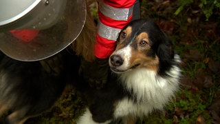 Rettungshundestaffel