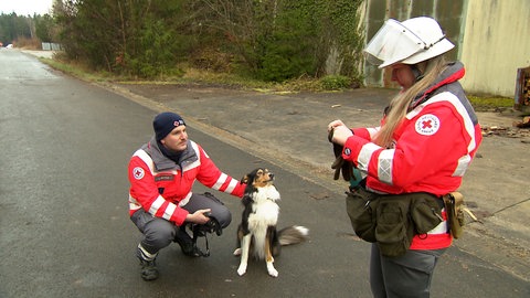 Rettungshundestaffel