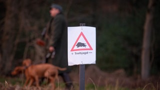 Ein Schild mit der Aufschrift "Treibjagd", im Hintergrund ein Jäger mit Hund (Symbolbild). PETA erstattete Anzeige gegen Jäger der Drückjagd in Jagsthausen. 