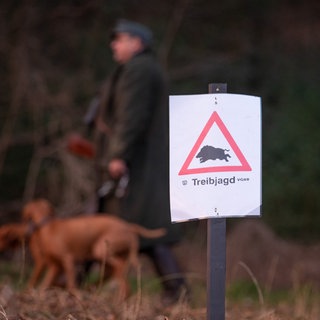 Ein Schild mit der Aufschrift "Treibjagd", im Hintergrund ein Jäger mit Hund (Symbolbild). PETA erstattete Anzeige gegen Jäger der Drückjagd in Jagsthausen. 
