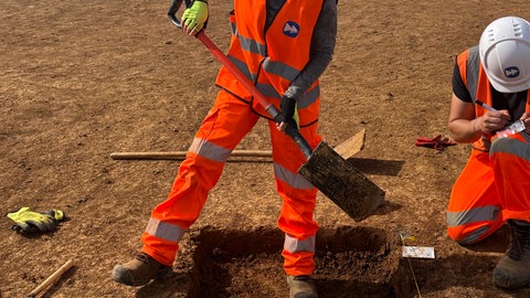 Archäologische Funde auf SuedLink-Baustelle bei Grünsfeld