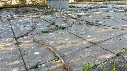 Äste liegen unterhalb des Funkturms, als die Störche versuchen, ihren Brutplatz auf dem Mast neu aufzubauen.