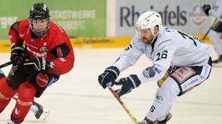 Heilbronner Falken in den Playoffs