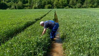 Schäden in der Landwirtschaft bei Möckmühl