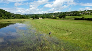 Schäden in der Landwirtschaft bei Möckmühl