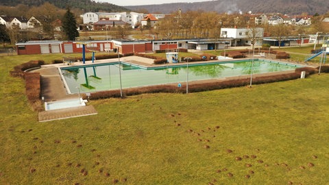 Das Schwimmbecken im Wertheimer Freibad. Einzelne Maulwurf-Hügel reichen fast bis zum Beckenrand. Die Liegewiese ist aber komplett übersät. 