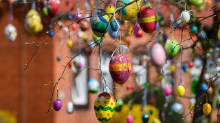 Ostereier hängen an einem Baum (Symbolbild). Hasen, Eier - was hat das alles mit dem Fest um Ostern zu tun?