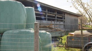 Über 40 tote Schafe wurden auf einm Aussiedlerhof bei Heilbronn gefunden. 