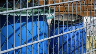 Symbolbild: In Heilbronn wurde in einer Regentonne ein grausiger Fund gemacht - tote Tiere lagen darin