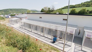 Viele Tierheime sind in einem schlechten Zustand. In Bad Mergentheim steht eines der Modernsten im Land, auch durch die Hilfe von Vereinen. 
