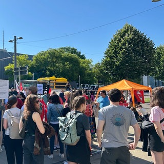 Friedricher Protest gegen die Landeswahlversammlung der AfD in Heilbronn