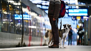 Ein Mann mit Hund steht vor einer Regionalbahn. (Archivbild)