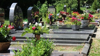 Gräber auf einem Friedhof: Die Stadt Wertheim hat immer höhere Entsorgungskosten für Müll der im Grüngutcontainer landet.