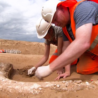 Archäologen bei Ausgrabungen auf der SuedLink-Trasse bei Lauda-Königshofen (Archivbild). Die Grabungsstelle, an der ein Stoßzahn gefunden wurde, muss mittlerweile vor Räubern bewacht werden. Die Rücken mit Spaten und Stirnlampe an.