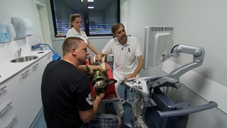 Gewalt gegen Tierärzte nimmt zu