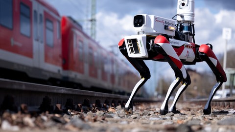 Der Roboterhun "Spot" der Deutschen Bahn läuft zwischen abgestellten S-Bahnen entlang. 