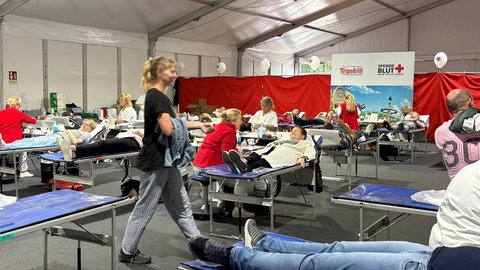 Bei der Blutspendeaktion 2025 beim Erlebnispark Tripsdrill