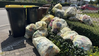 Bio- und Restmülltonnen liegen neben Gelben Säcken in der Sommerhitze am Straßenrand