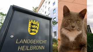 Der Fall um den getöteten Kater Emil ist abgeschlossen: Ein 54-jähriger Mann gab zu, die Falle aufgestellt zu haben. Er wurde zu einer Geldstrafe verurteilt. 