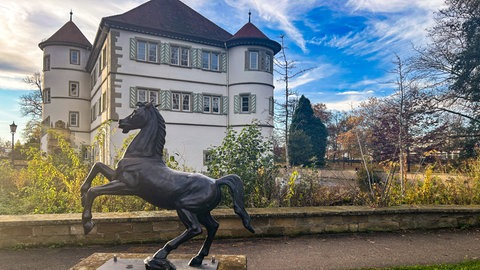 Wasserschloß Bad Rappenau mit Pferdeskulptur. Am Sonntag entscheidet sich, wer in der Kurstadt neuer oder alter Oberbürgermeister wird.